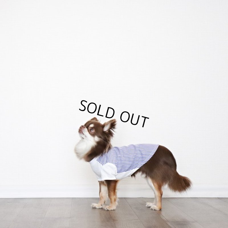 画像3: 異素材ミックス トップス（ブルーストライプ×ホワイト） (3)