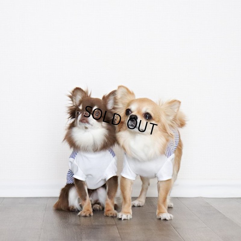 画像16: 異素材ミックス トップス（ブルーストライプ×ホワイト） (16)