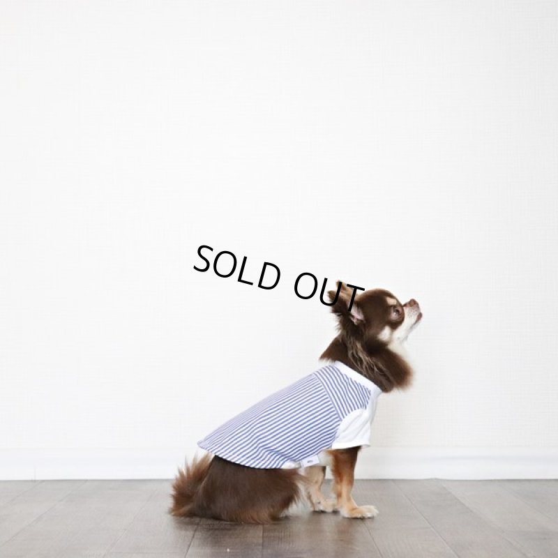 画像6: 異素材ミックス トップス（ブルーストライプ×ホワイト） (6)