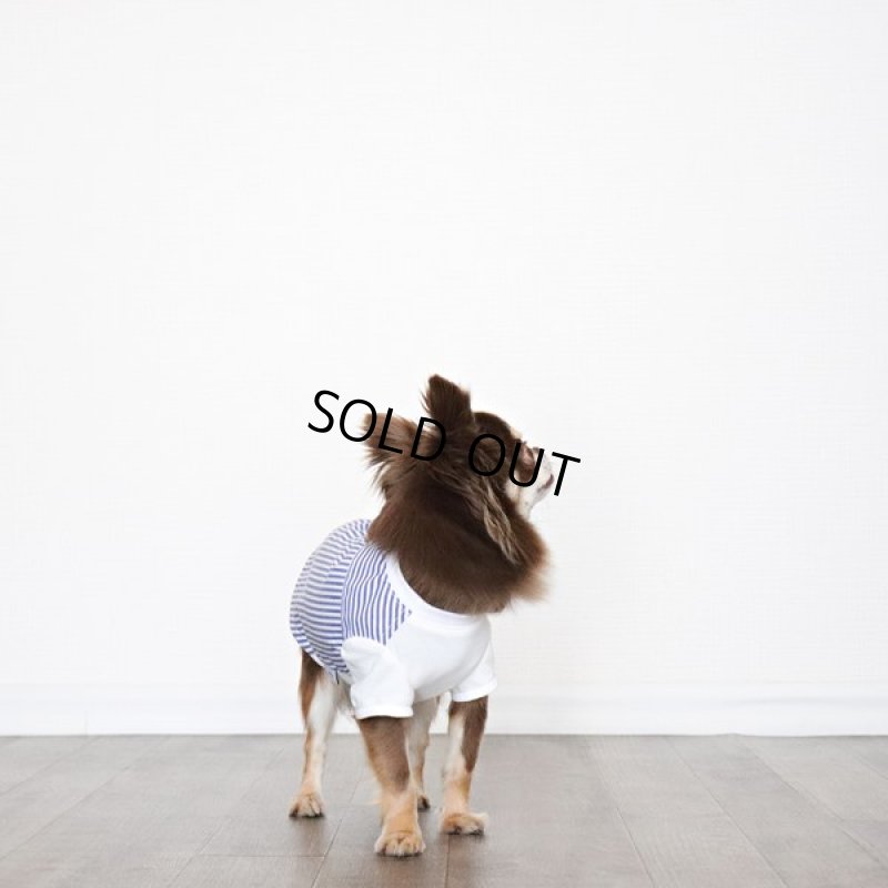 画像5: 異素材ミックス トップス（ブルーストライプ×ホワイト） (5)