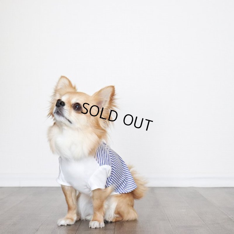 画像8: 異素材ミックス トップス（ブルーストライプ×ホワイト） (8)