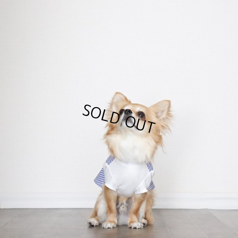 画像10: 異素材ミックス トップス（ブルーストライプ×ホワイト） (10)