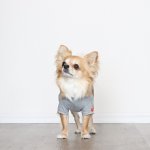 画像13: 蚊よけ生地のTシャツ（カモフラポケット×グレー） (13)