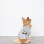 画像15: 蚊よけ生地のTシャツ（カモフラポケット×グレー） (15)