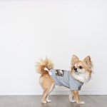 画像9: 蚊よけ生地のTシャツ（カモフラポケット×グレー） (9)