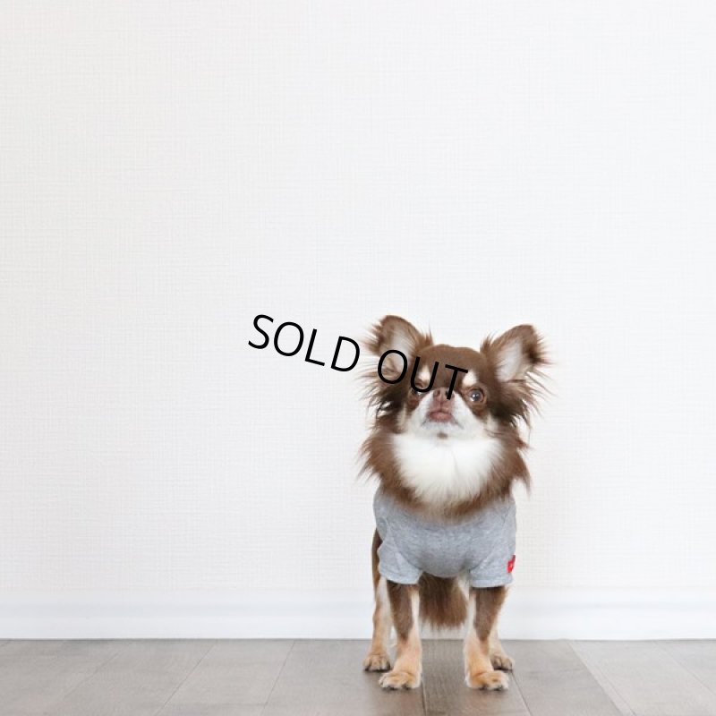 画像5: 蚊よけ生地のTシャツ（カモフラポケット×グレー） (5)