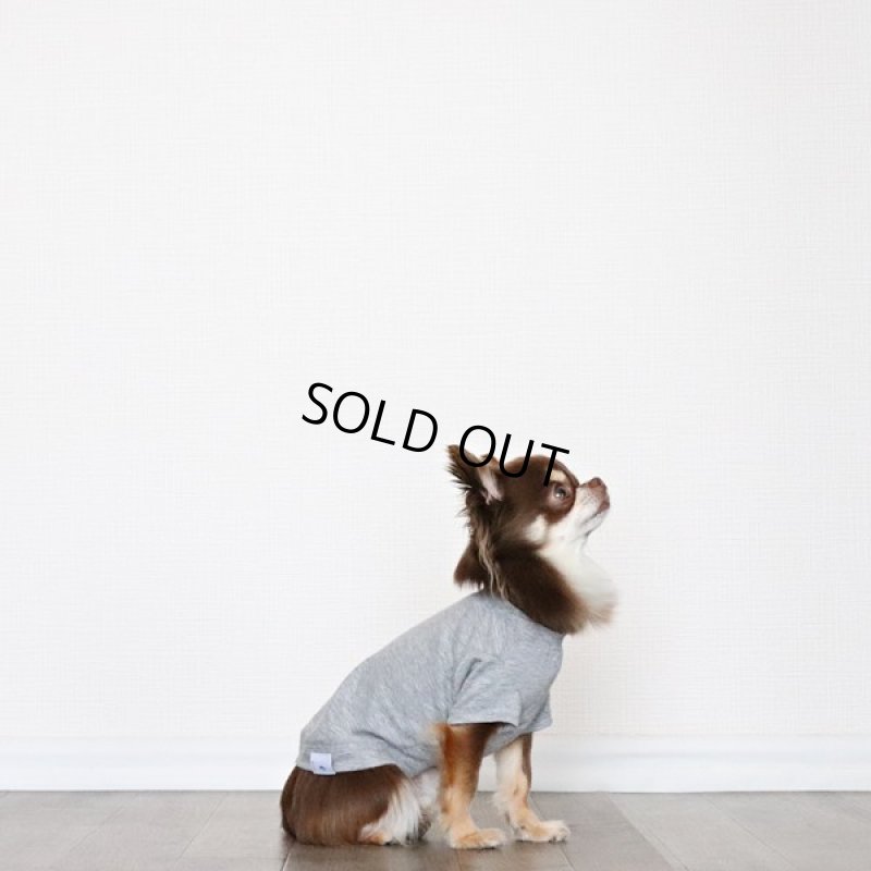 画像6: 蚊よけ生地のTシャツ（カモフラポケット×グレー） (6)