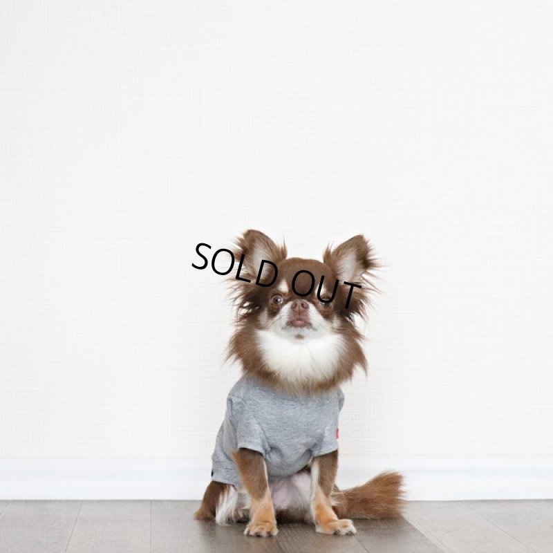 画像4: 蚊よけ生地のTシャツ（カモフラポケット×グレー） (4)