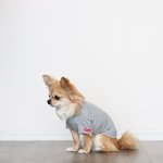 画像12: 蚊よけ生地のTシャツ（カモフラポケット×グレー） (12)