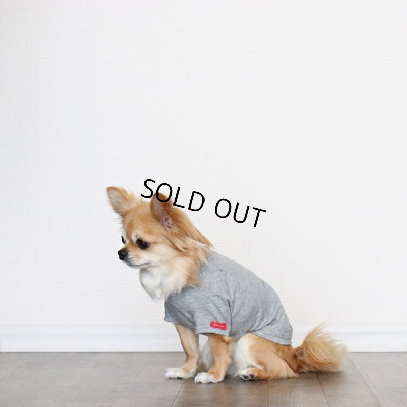 画像12: 蚊よけ生地のTシャツ（カモフラポケット×グレー） (12)