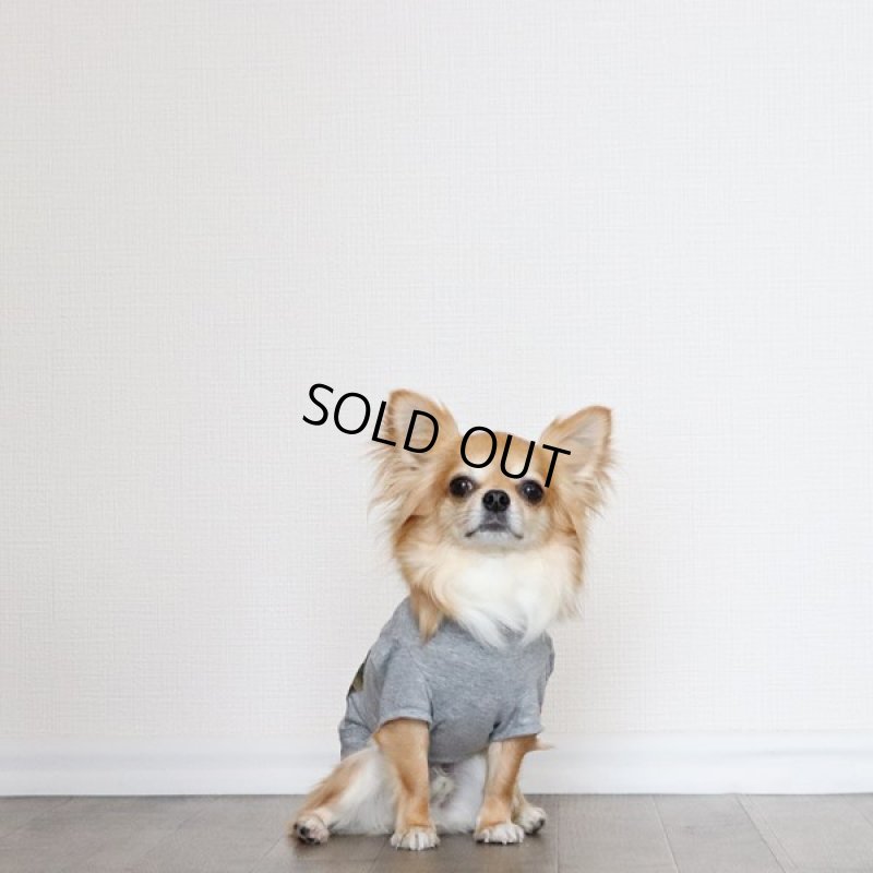 画像14: 蚊よけ生地のTシャツ（カモフラポケット×グレー） (14)