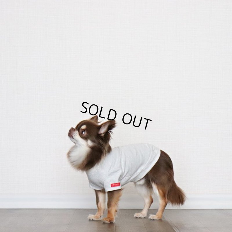 画像2: 蚊よけ生地のTシャツ（オートミール） (2)