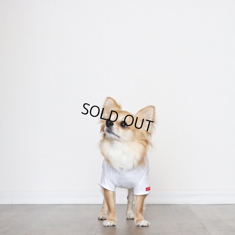 画像3: [完成品] 蚊よけ生地のTシャツ（ダークグレーカモフラポケット×ホワイト） (3)