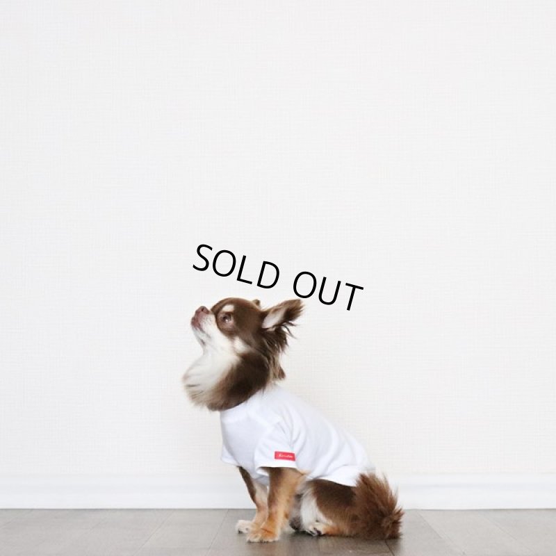 画像13: [完成品] 蚊よけ生地のTシャツ（ダークグレーカモフラポケット×ホワイト） (13)