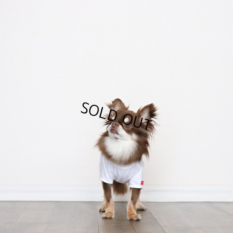 画像11: [完成品] 蚊よけ生地のTシャツ（ダークグレーカモフラポケット×ホワイト） (11)