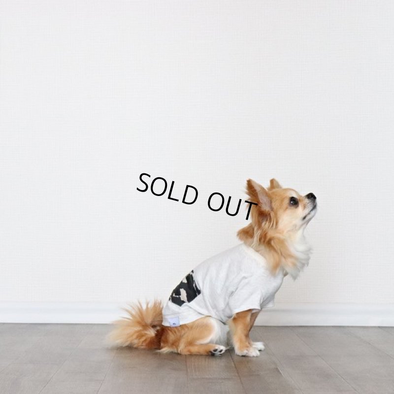 画像11: 蚊よけ生地のTシャツ（オートミール） (11)