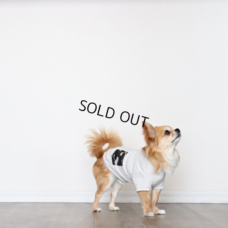 画像16: 蚊よけ生地のTシャツ（オートミール） (16)