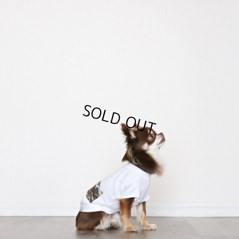 画像10: [完成品] 蚊よけ生地のTシャツ（ダークグレーカモフラポケット×ホワイト） (10)