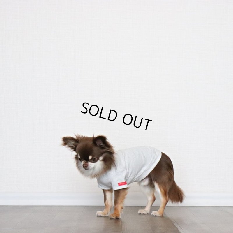 画像3: 蚊よけ生地のTシャツ（オートミール） (3)