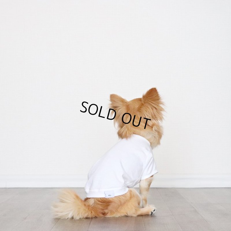 画像8: [完成品] 蚊よけ生地のTシャツ（ダークグレーカモフラポケット×ホワイト） (8)