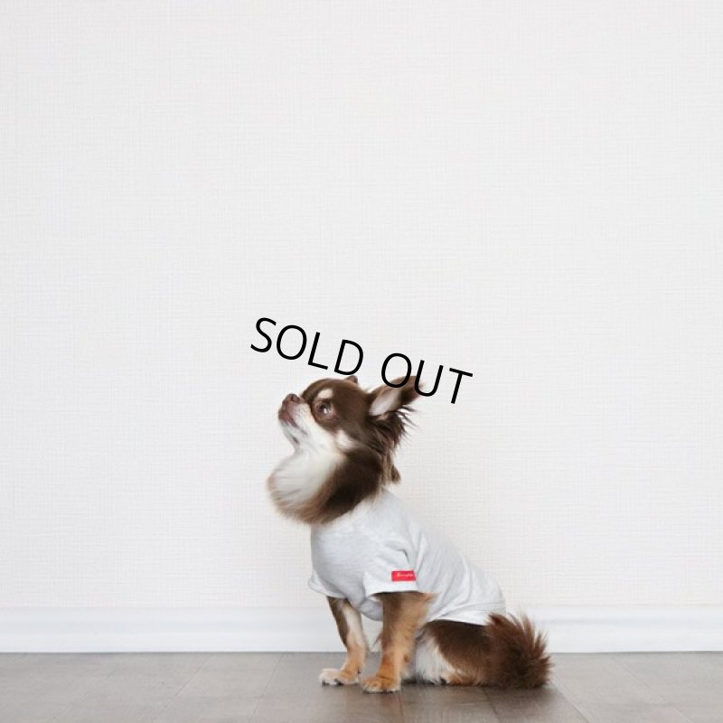 画像4: 蚊よけ生地のTシャツ（オートミール） (4)