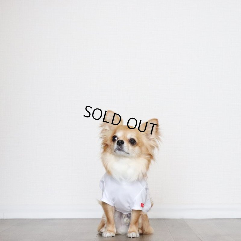 画像4: [完成品] 蚊よけ生地のTシャツ（ダークグレーカモフラポケット×ホワイト） (4)