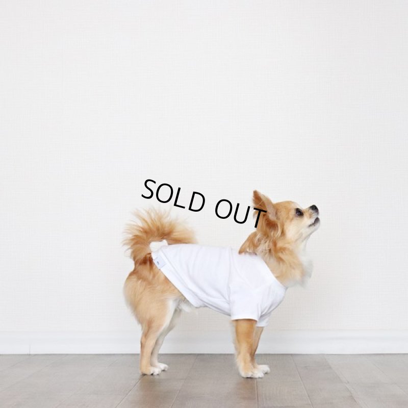 画像7: [完成品] 蚊よけ生地のTシャツ（ダークグレーカモフラポケット×ホワイト） (7)