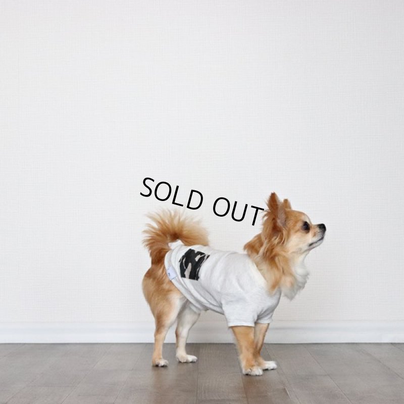 画像10: 蚊よけ生地のTシャツ（オートミール） (10)