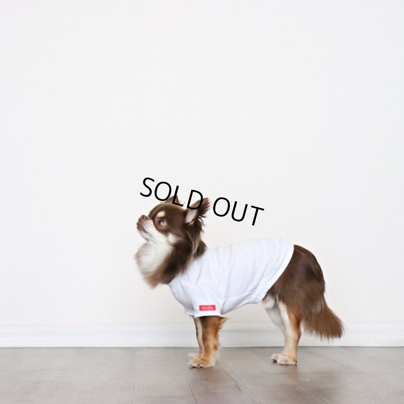 画像14: [完成品] 蚊よけ生地のTシャツ（ダークグレーカモフラポケット×ホワイト） (14)