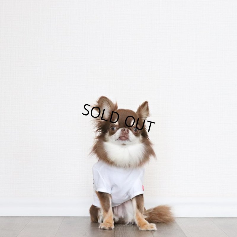 画像12: [完成品] 蚊よけ生地のTシャツ（ダークグレーカモフラポケット×ホワイト） (12)