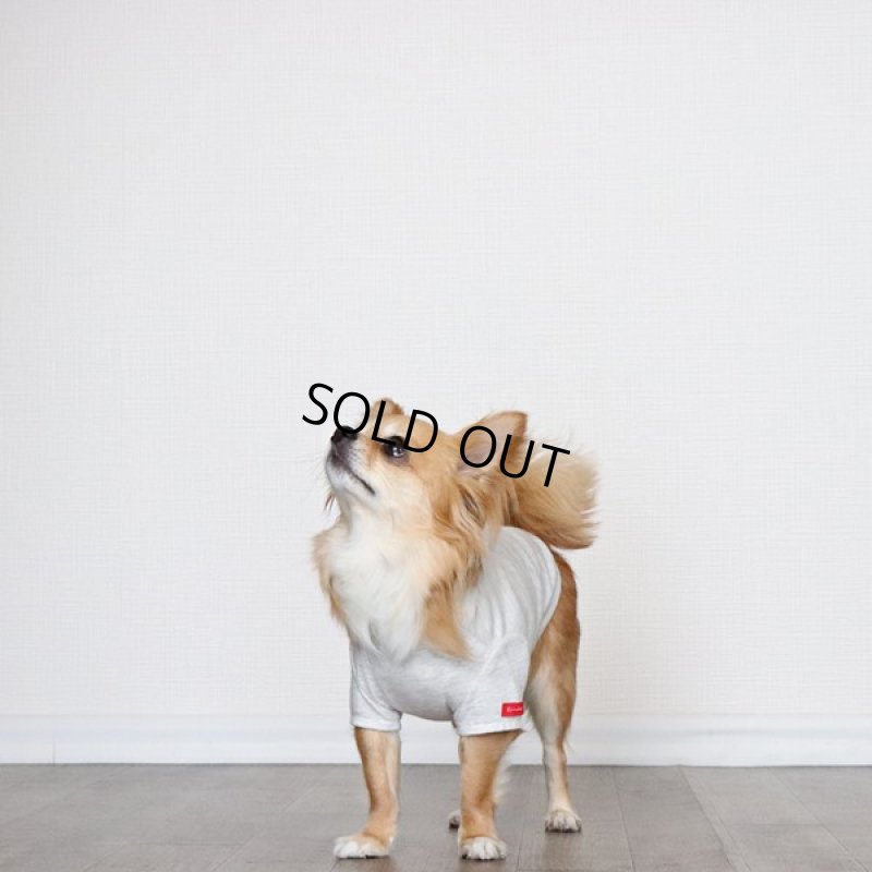 画像12: 蚊よけ生地のTシャツ（オートミール） (12)