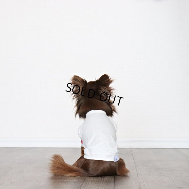 画像9: 蚊よけ生地のTシャツ（オートミール） (9)