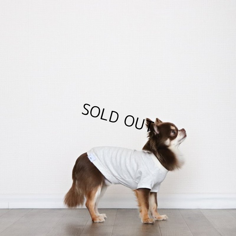 画像7: 蚊よけ生地のTシャツ（オートミール） (7)