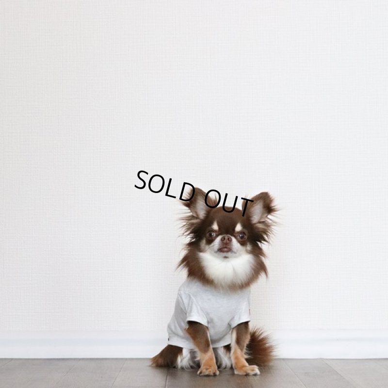 画像5: 蚊よけ生地のTシャツ（オートミール） (5)