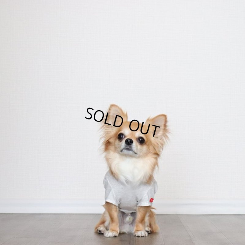 画像13: 蚊よけ生地のTシャツ（オートミール） (13)