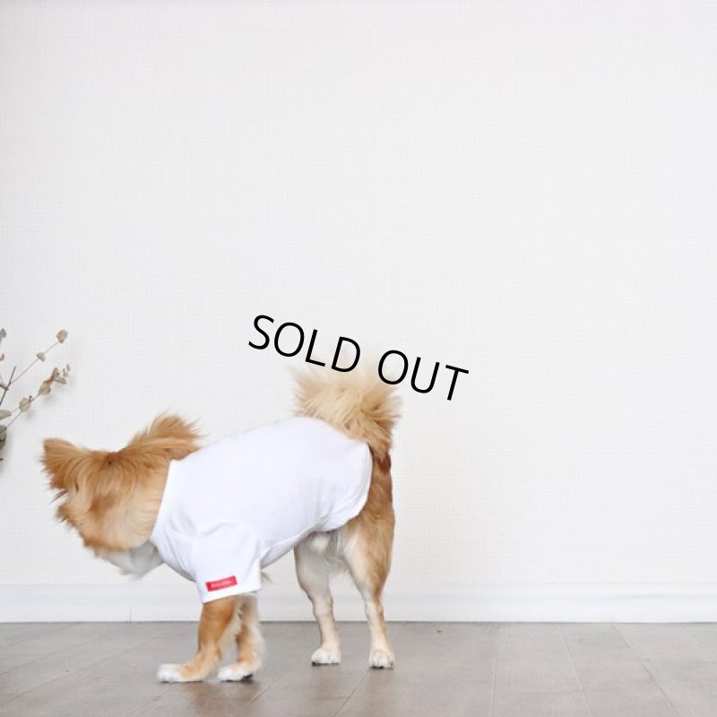 画像5: [完成品] 蚊よけ生地のTシャツ（ダークグレーカモフラポケット×ホワイト） (5)