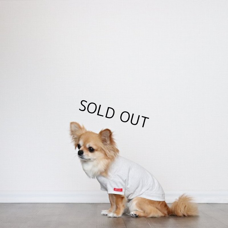 画像14: 蚊よけ生地のTシャツ（オートミール） (14)