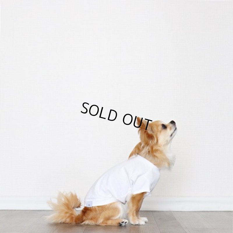 画像6: [完成品] 蚊よけ生地のTシャツ（ダークグレーカモフラポケット×ホワイト） (6)