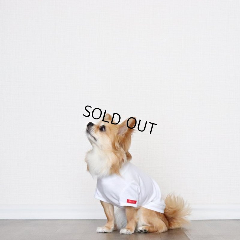 画像2: [完成品] 蚊よけ生地のTシャツ（ダークグレーカモフラポケット×ホワイト） (2)