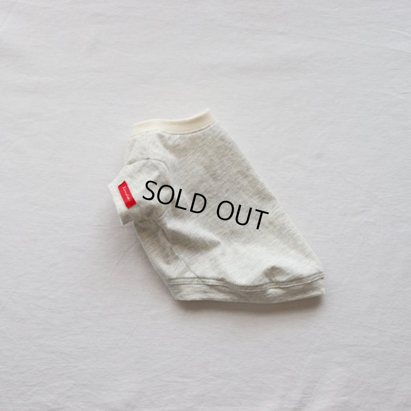 画像19: 蚊よけ生地のTシャツ（オートミール） (19)