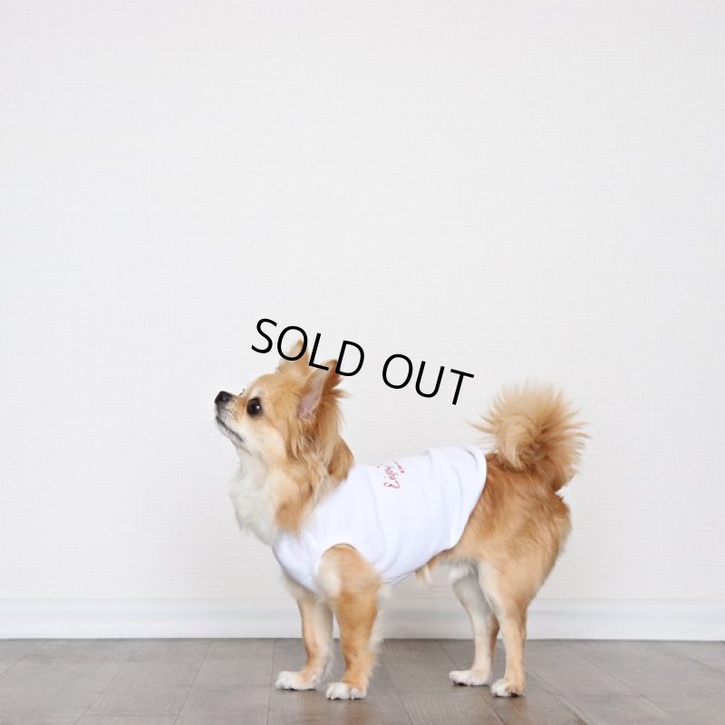 画像6: UVカットワッフルのタンクトップ（ホワイト） (6)