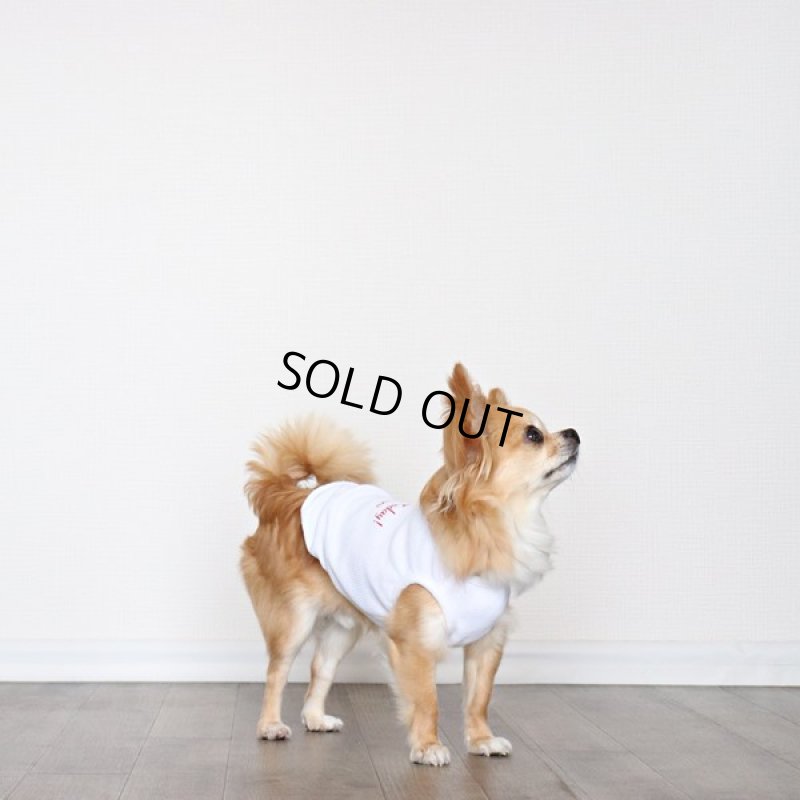 画像9: UVカットワッフルのタンクトップ（ホワイト） (9)