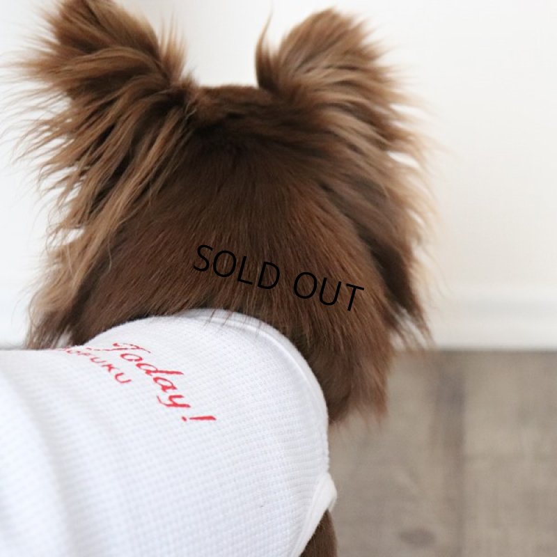 画像17: UVカットワッフルのタンクトップ（ホワイト） (17)