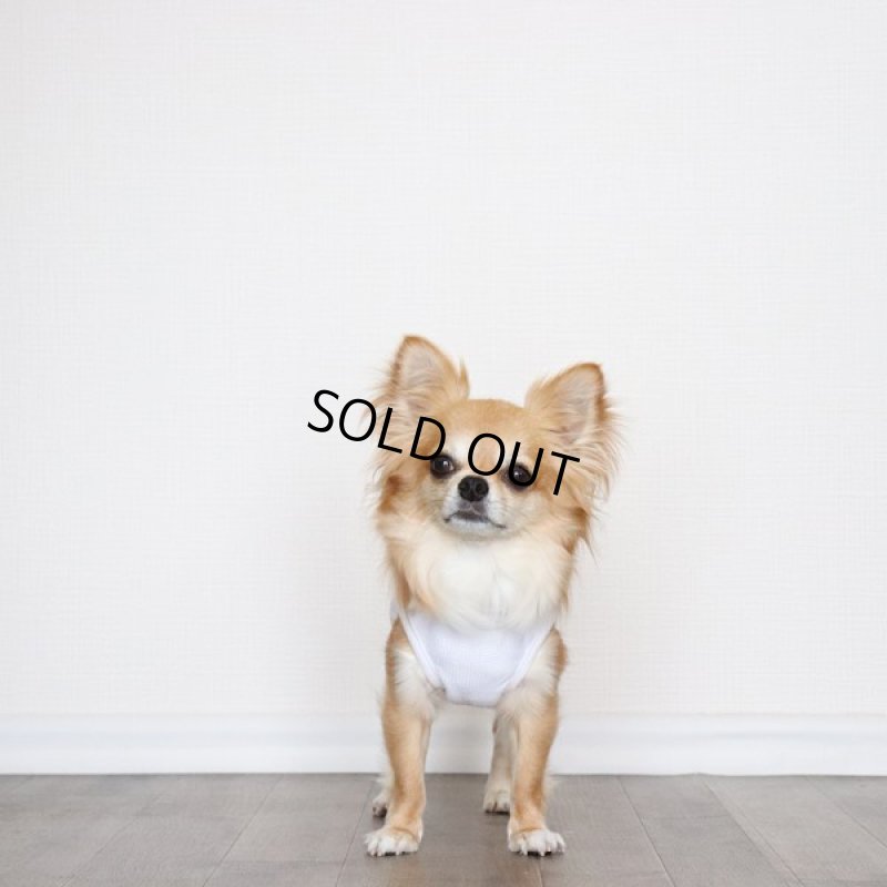 画像4: UVカットワッフルのタンクトップ（ホワイト） (4)