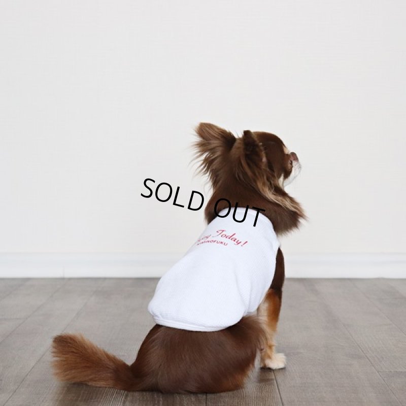 画像11: UVカットワッフルのタンクトップ（ホワイト） (11)