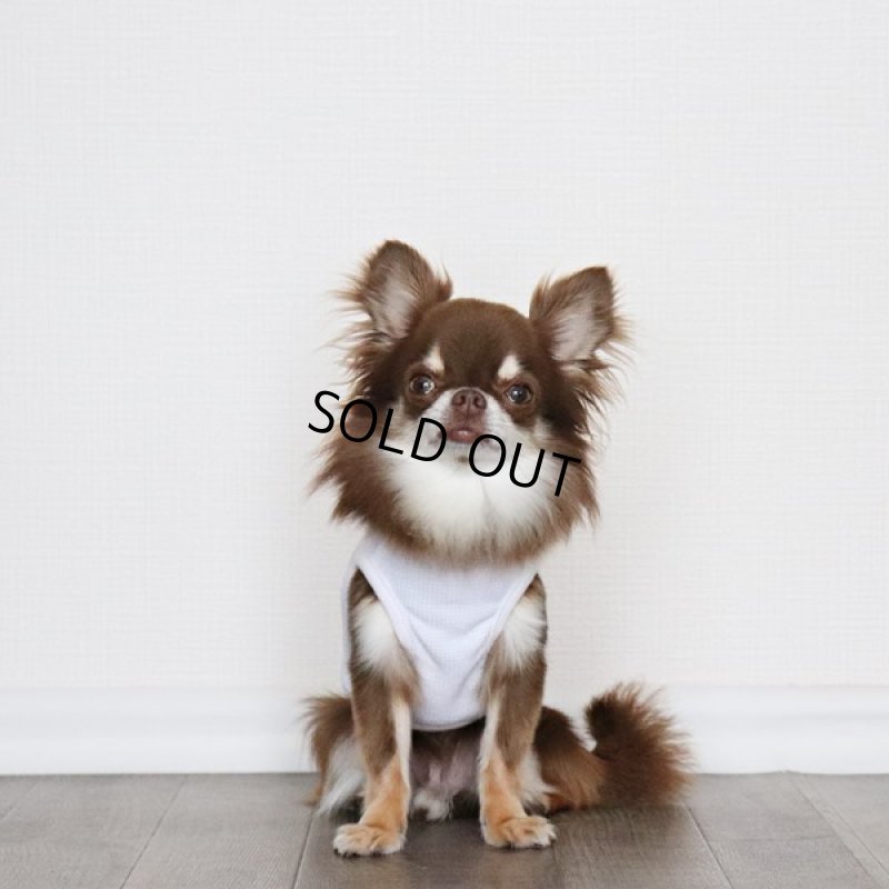 画像13: UVカットワッフルのタンクトップ（ホワイト） (13)