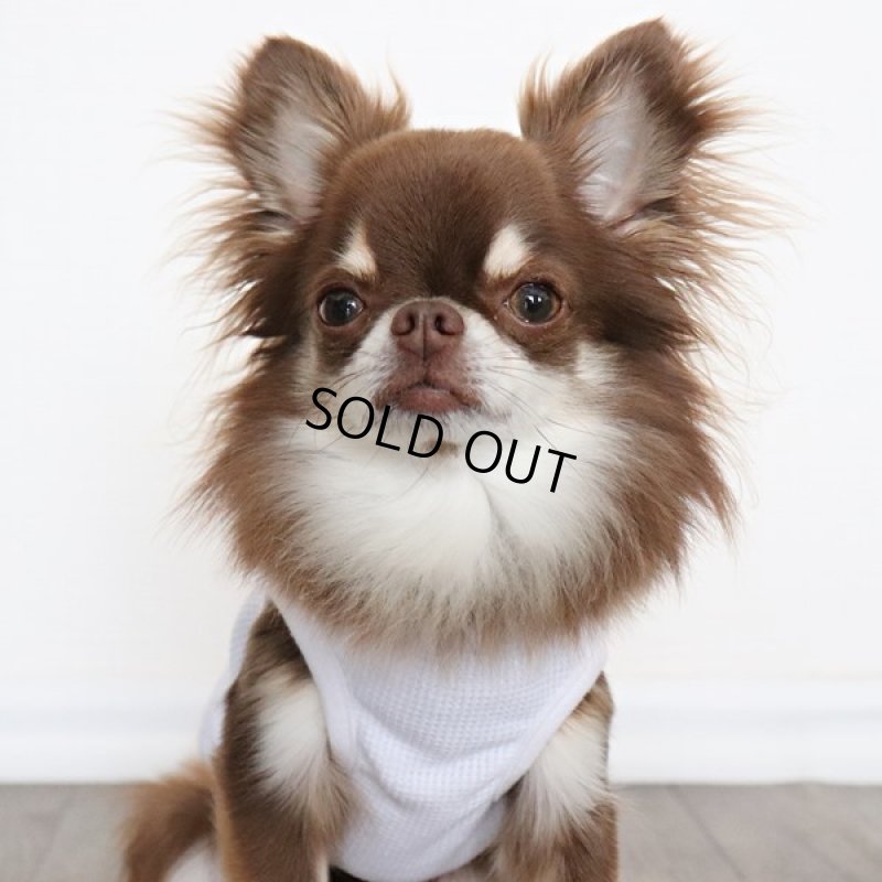 画像14: UVカットワッフルのタンクトップ（ホワイト） (14)