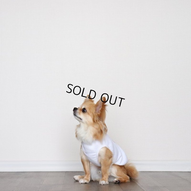 画像7: UVカットワッフルのタンクトップ（ホワイト） (7)