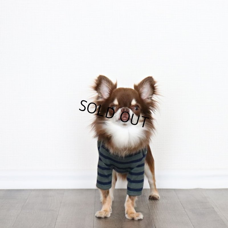 画像4: ボーダーハイネックカットソー(グレイッシュカーキxネイビー) (4)