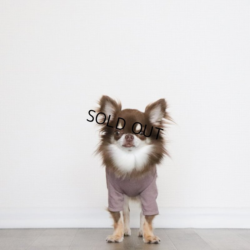 画像4: くすみカラーのカットソー（くすみローズ） (4)